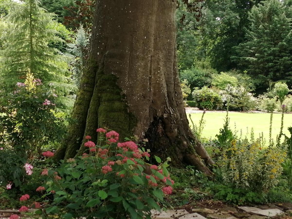 Chambre E Andre Le Domaine Des Jardins De Bracquetuit ภายนอก รูปภาพ