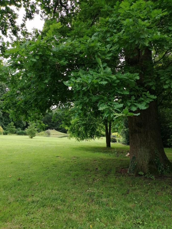 Chambre E Andre Le Domaine Des Jardins De Bracquetuit ภายนอก รูปภาพ