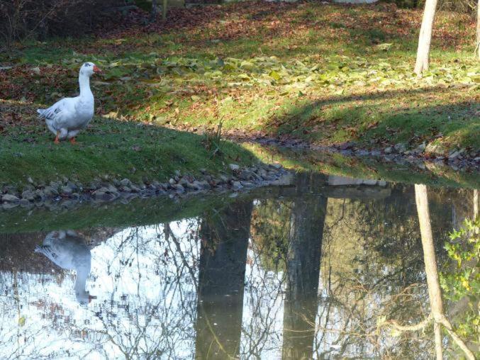 Chambre E Andre Le Domaine Des Jardins De Bracquetuit ภายนอก รูปภาพ