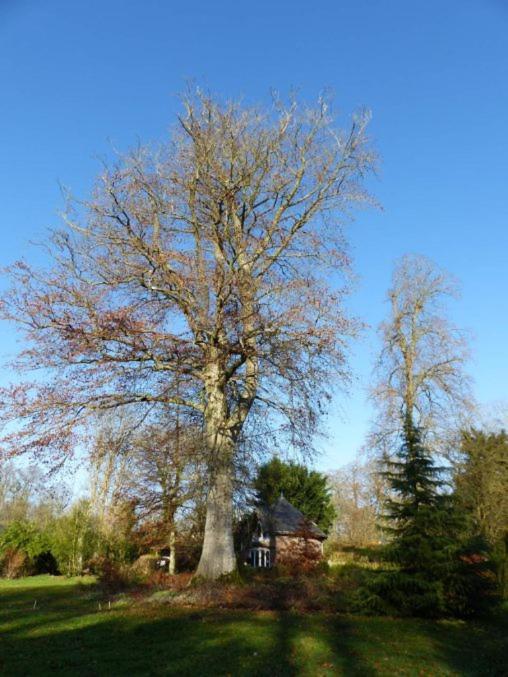 Chambre E Andre Le Domaine Des Jardins De Bracquetuit ภายนอก รูปภาพ
